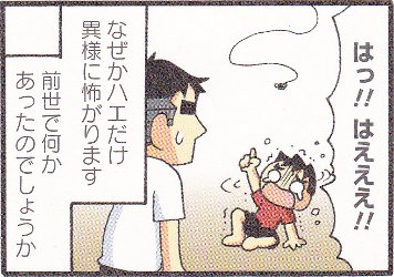 邢N
